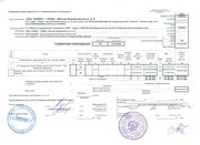 Сделаем любые бухгалтерские документы