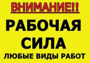 Услуги бригады разнорабочих демонтаж уборка территории