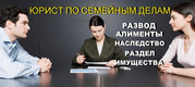 Адвокат по семейным делам.