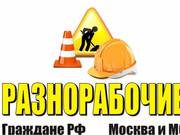 Услуги разнорабочих. Качество гарантируем!