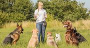 Воспитание собак в Набережных Челнах