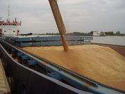 Зерновозы,  требуются ЮФО,  ПФО,  ЦФО