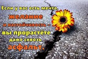  Услуги по инвестированию и кредитованию