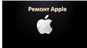 Ремонт и обслуживание техники Apple в Москве