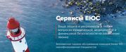 Юридическая и медицинская помощь в Вашем телефоне