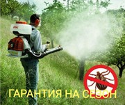 Обработка участков от клещей,  муравьёв