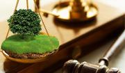 Юридические услуги в Красноярске физическим и юридическим лицам