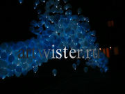 Светящиеся воздушные шары на праздник