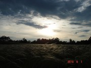 Космоэнергетика Школа им.Петрова В.А.